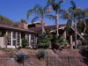 A large house with palm trees in the yard.